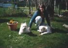Nichtr. -Familie sucht dringend 4 Zim-Wohng. /Haus m. Garten in Cuxhaven z. 01. 03.